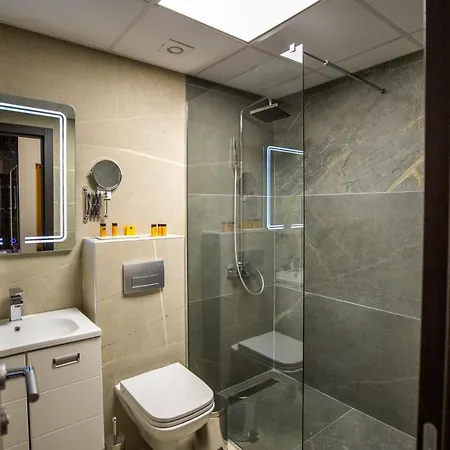 Vs Exclusive - Apartment Vrnjacka Banja